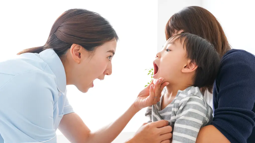 口腔内診査、診断